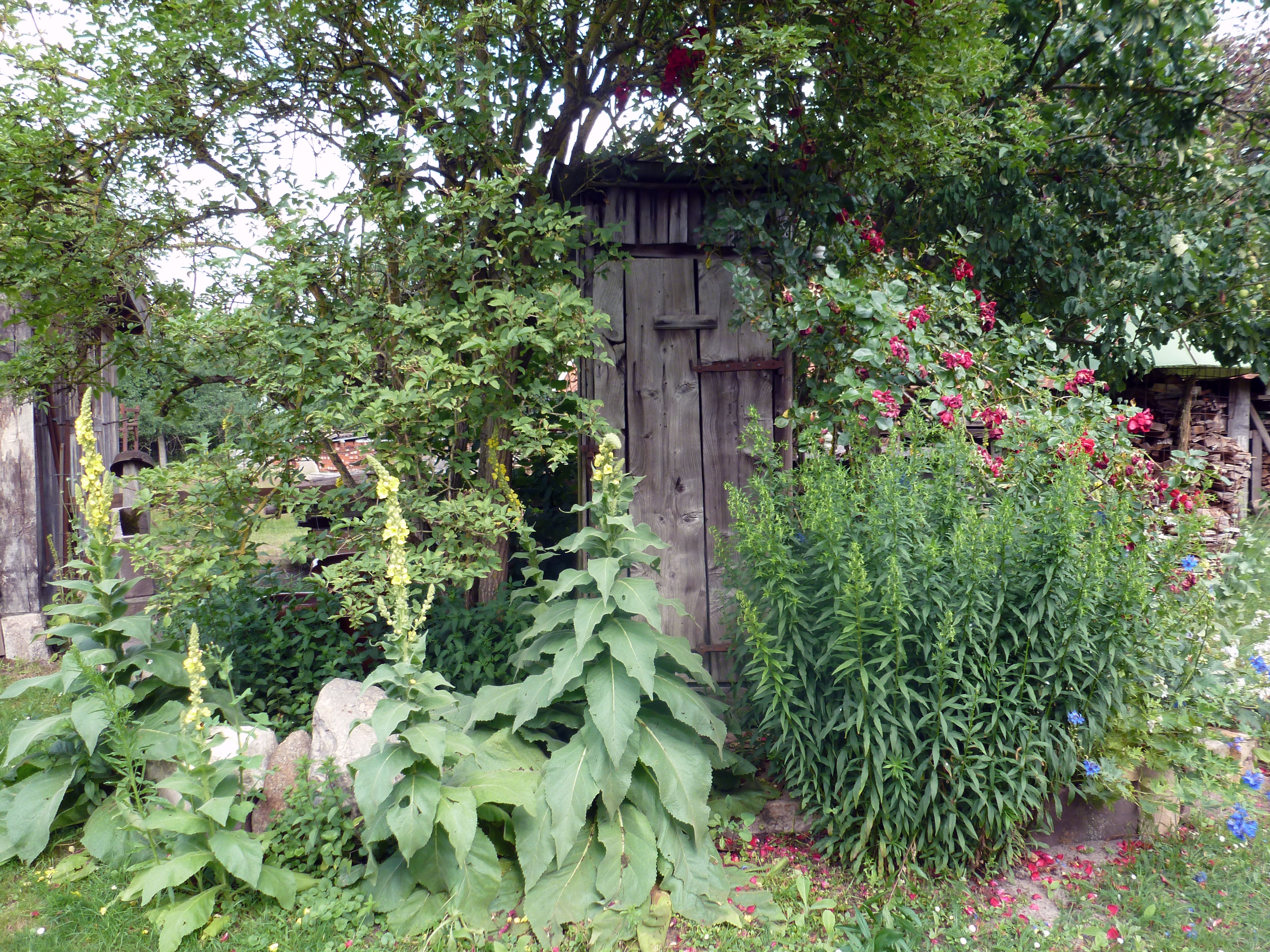 Holzhütte im Garten