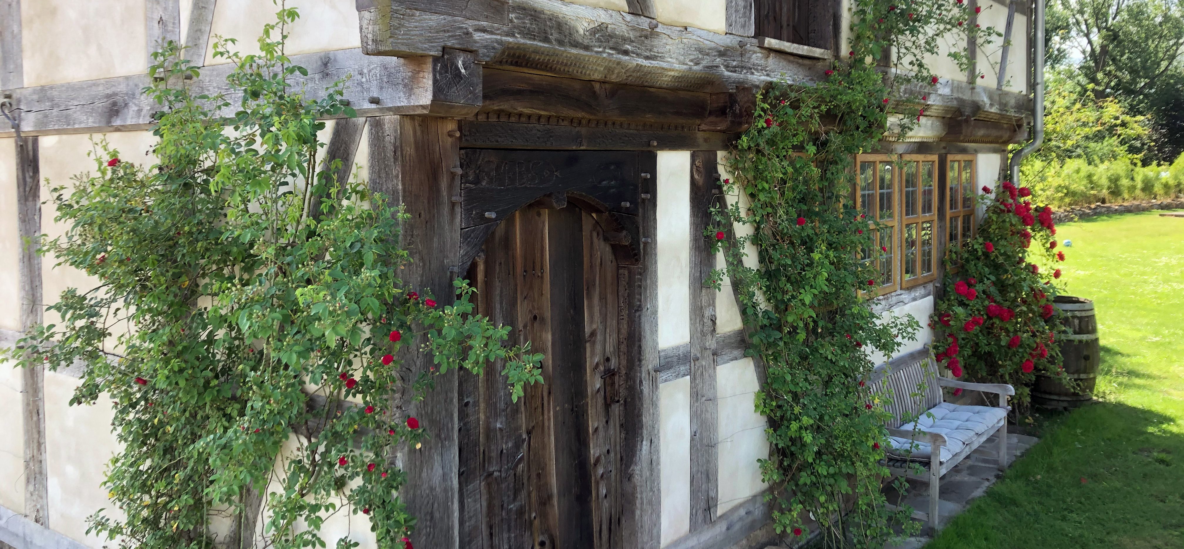 Rosenbewachsene Wand eines Fachwerkhauses