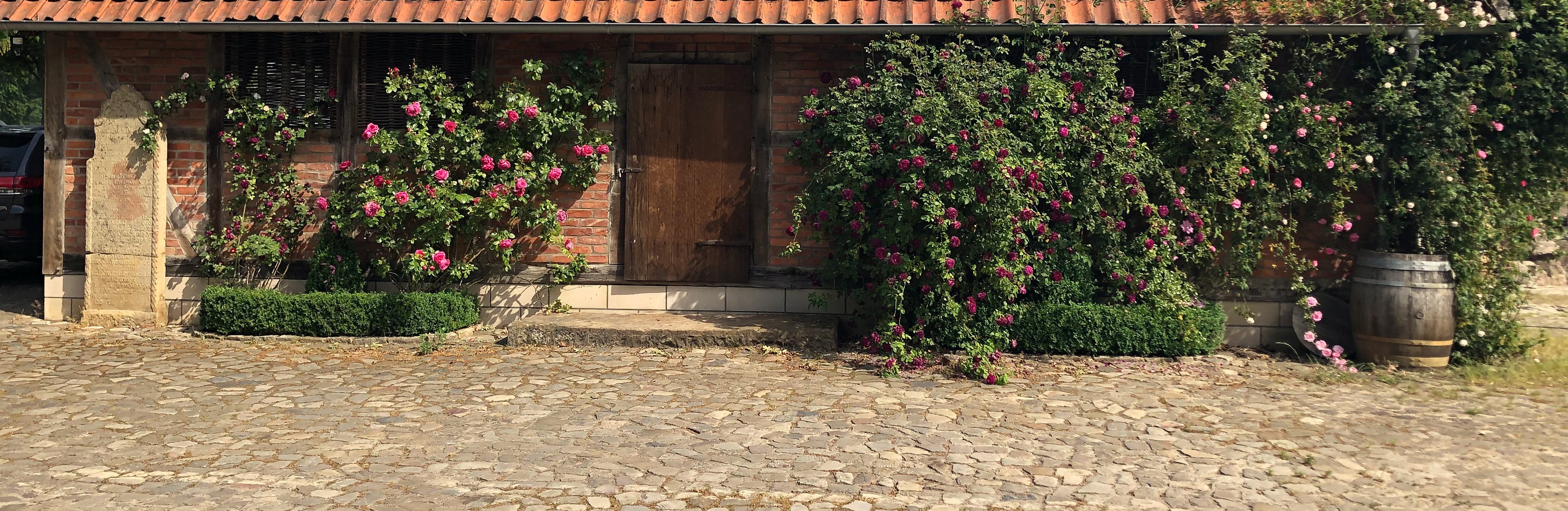 Rosenbewachsenes Fachwerkgebäude mit gepflastertem Vorplatz